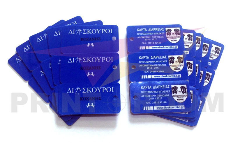 Mini PVC (πλαστικές) κάρτες - Διόσκουροι Κοζάνης
