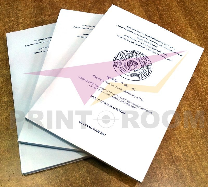 Μεταπτυχιακή Διατριβή με Περιμετρική Βιβλιοδεσία