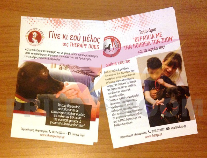Διαφημιστικά Φυλλάδια A5 (Flyers)